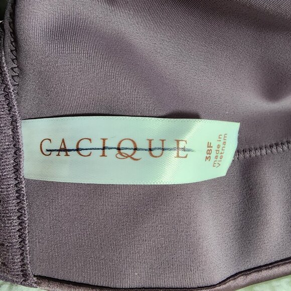 38F Lane Bryant Cacique Lightly Lined Full Coverage No Wire. - Picture 4 of 9